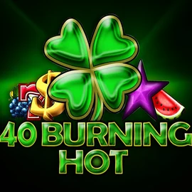 Enjoy 40 Burning Hot by Amusnet Interactive – logo hosted on stakecasinoo.net