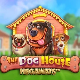 The Dog House Megaways – slot by Pragmatic Play, featured at stakecasinoo.net