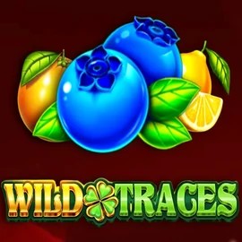 Enjoy Wild Traces by Amusnet Interactive – logo hosted on stakecasinoo.net